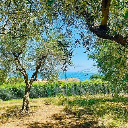 Villa In Collina Vista Mare 阿布鲁齐的罗塞托 外观 照片