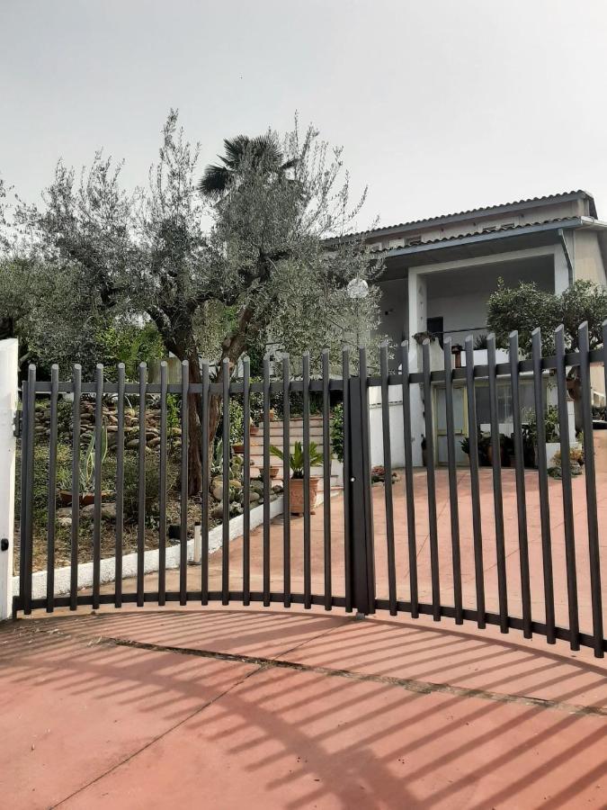 Villa In Collina Vista Mare 阿布鲁齐的罗塞托 外观 照片
