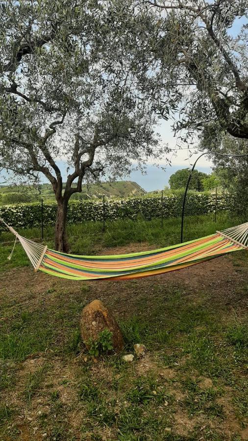 Villa In Collina Vista Mare 阿布鲁齐的罗塞托 外观 照片