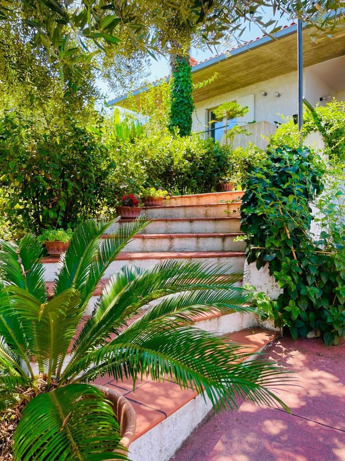 Villa In Collina Vista Mare 阿布鲁齐的罗塞托 外观 照片