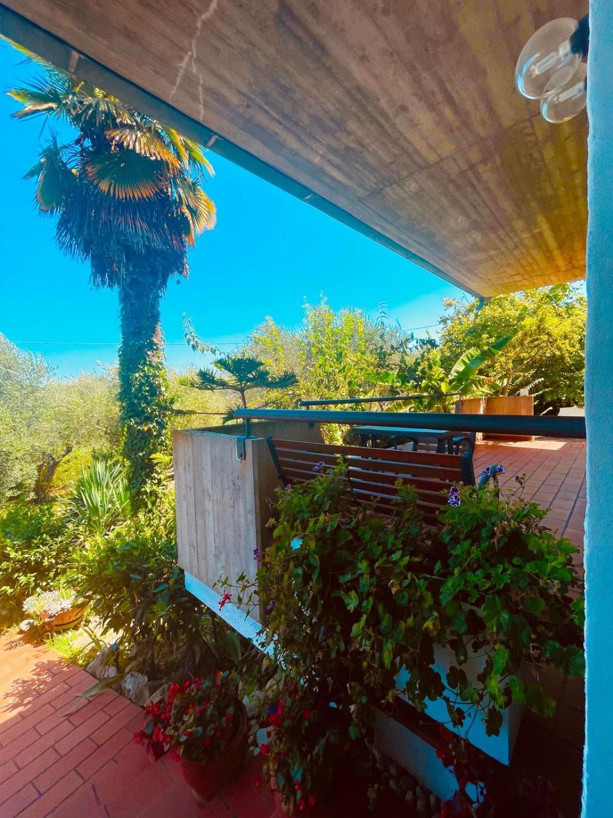 Villa In Collina Vista Mare 阿布鲁齐的罗塞托 外观 照片